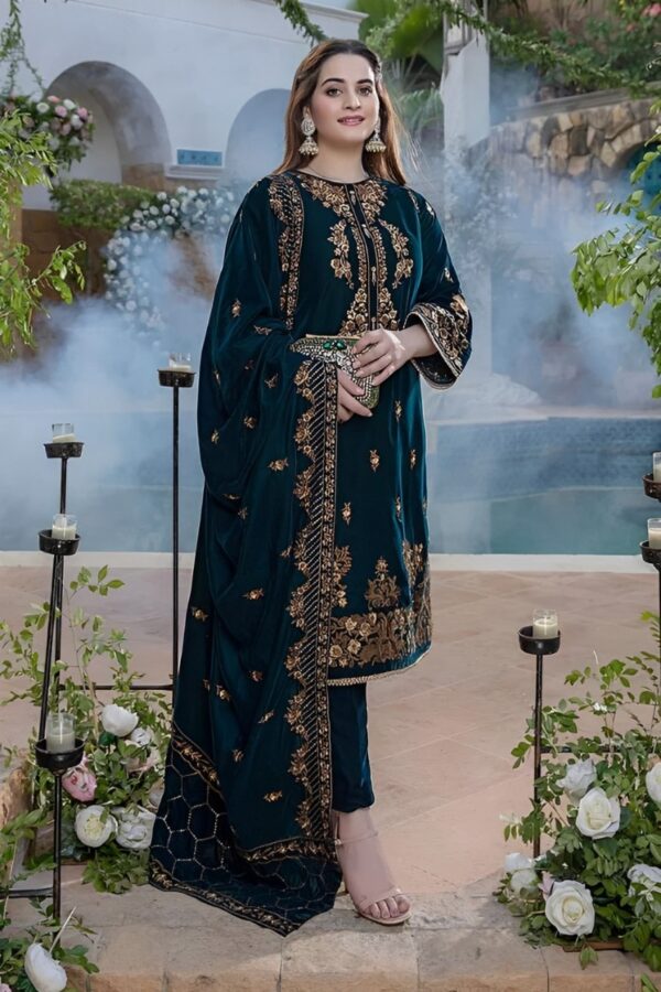 SR-10 Dhanak 3-Piece Embroidered Winter Collection with Printed Shawl - Image 2