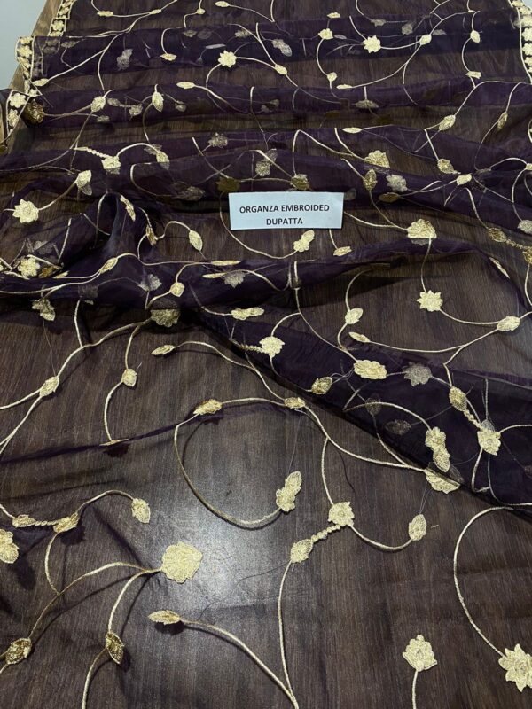 3-Piece Winter Collection with Embroidered Organza Dupatta and Shamoz Silk Trouser - Image 2