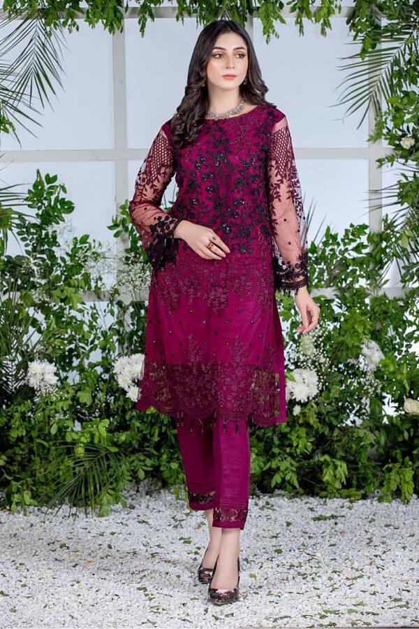 2-Piece Unstitched Net Suit with Embroidered Neck and Sleeves