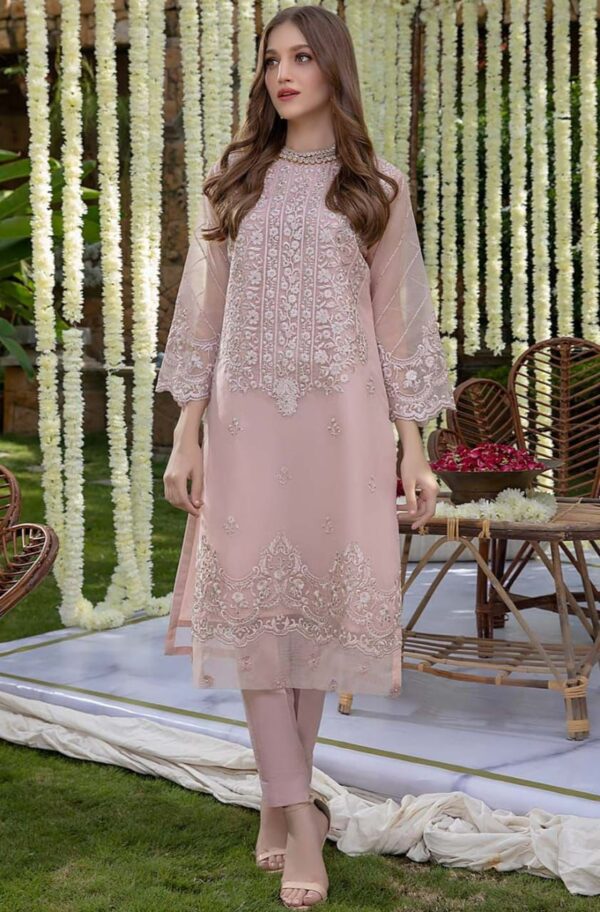 2-Piece Unstitched Net Suit with Embroidered Neck and Sleeves