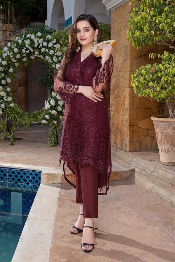 2-Piece Unstitched Net Suit with Embroidered Neck and Sleeves